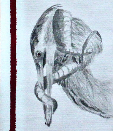 Heron Eating Snake on Canvas
